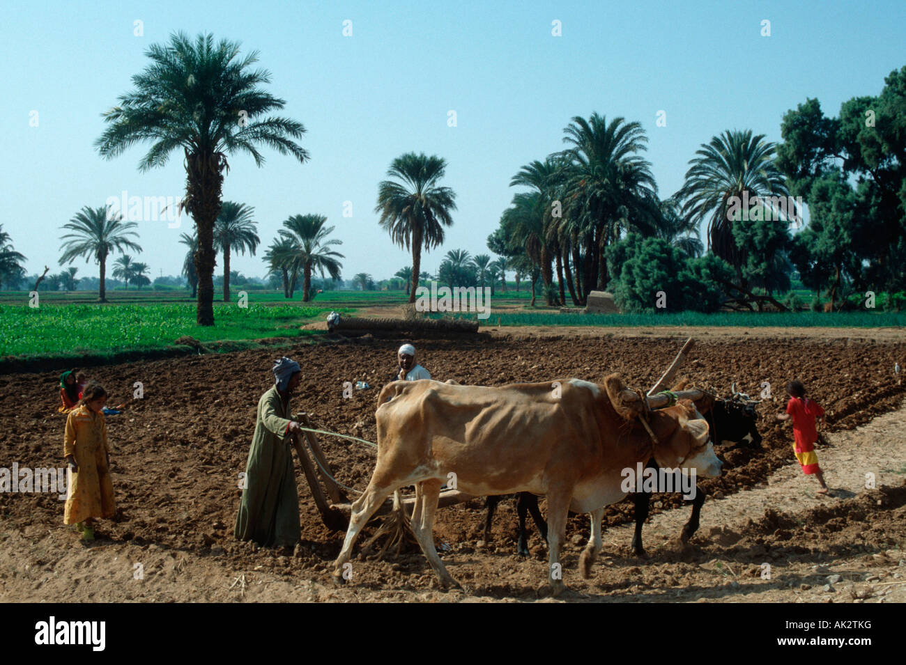 Man at fieldwork, Abydos [SPEAK2TKG]