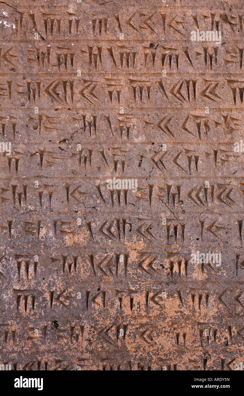 Carved cuneiform script at Persepolis Iran [SPEARDY5N]