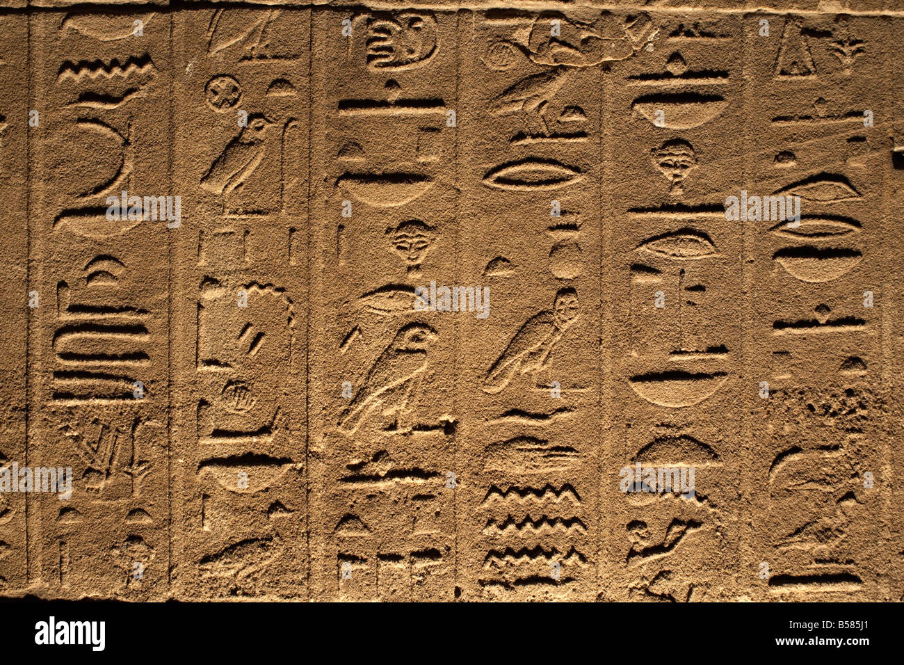 Hieroglyphs adorn the walls of the Temple of Philae, UNESCO World Heritage Site, near Aswan, Egypt, North Africa, Africa [SPEB585J1]
