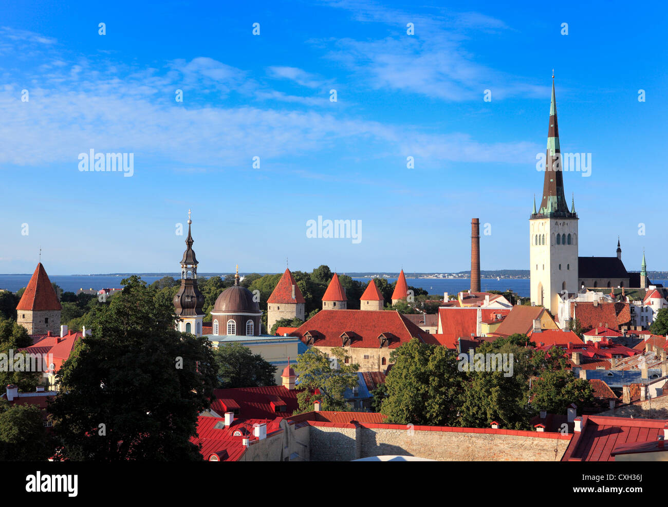 View of old city from Toompea, Tallinn, Estonia [SPECXH36J]