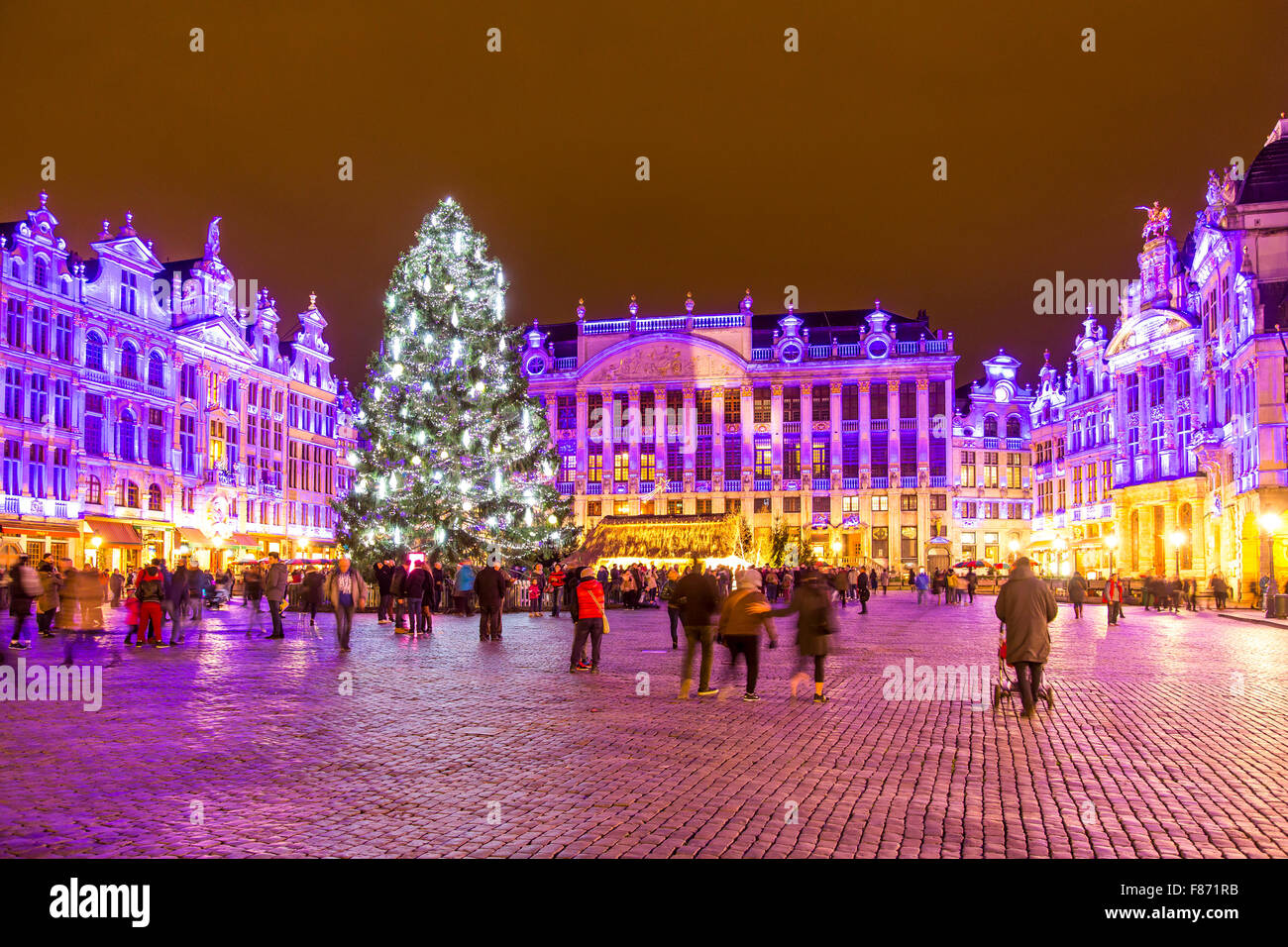 Christmas time in Brussels, Belgium, huge Christmas tree on the Grand Place, with illuminated facades of the old houses around [SPEF871RB]