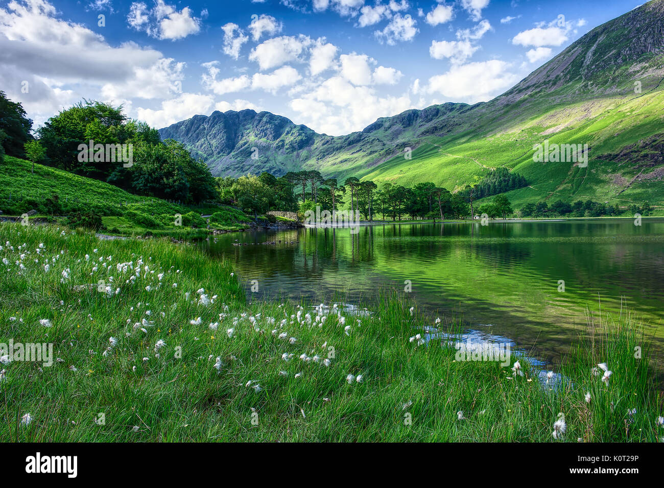 Idyllic landscape of Lake District,UK in spring .Green grass growing on mountain lake shore, trees and green hills reflecting in water, blue sky above. [SPEK0T29P]
