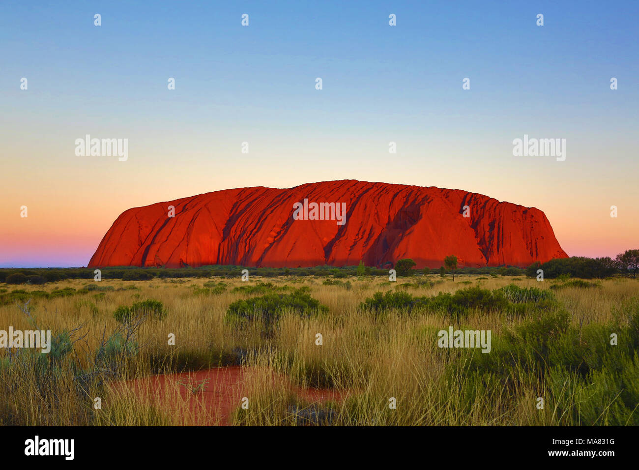 Sunset at Uluru, Ayers Rock, Uluru-Kata Tjuta National Park, Northern Territory, Australia [SPEMA831G]