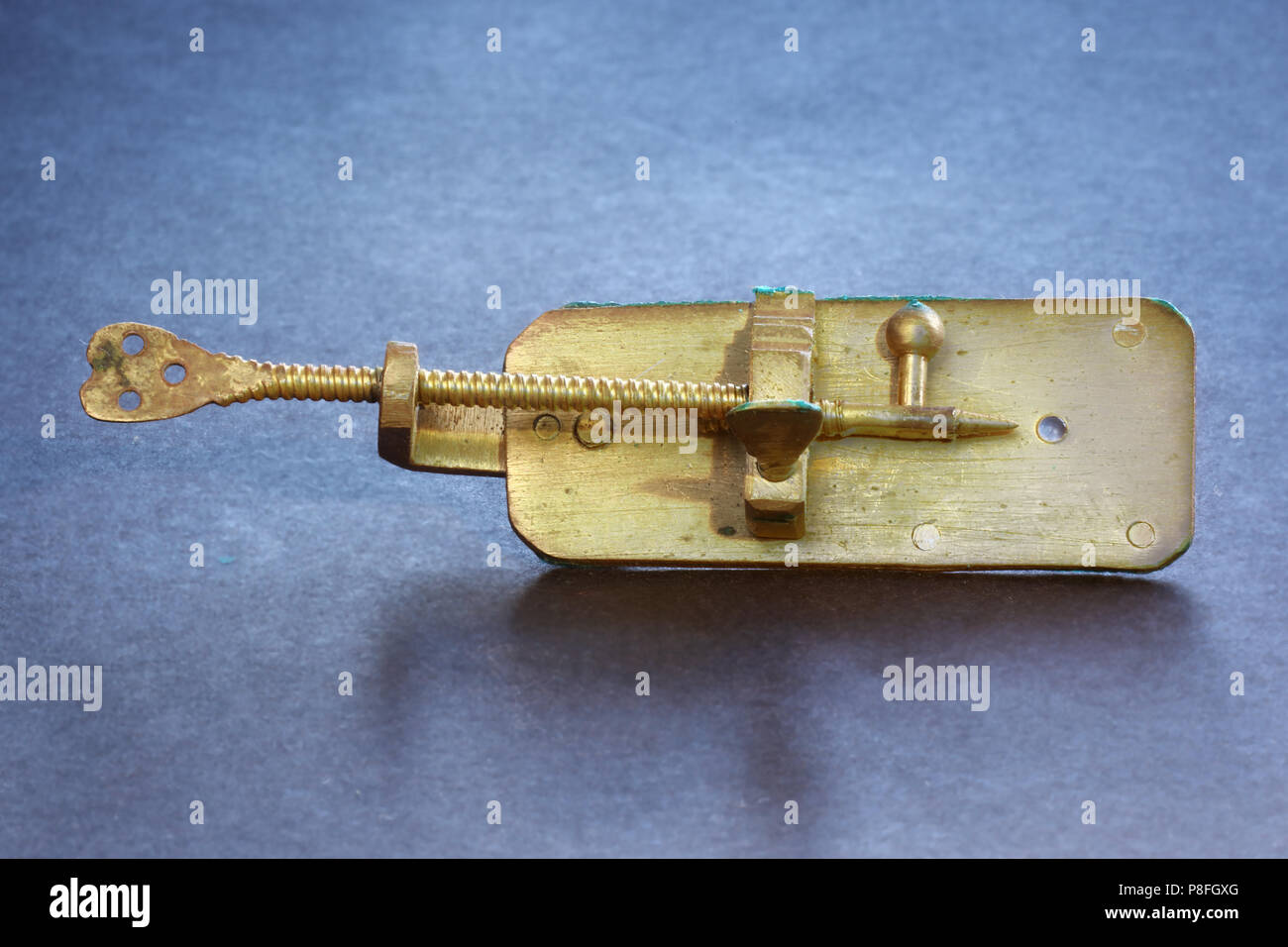 replica of van Leeuwenhoek microscope [SPEP8FGXG]