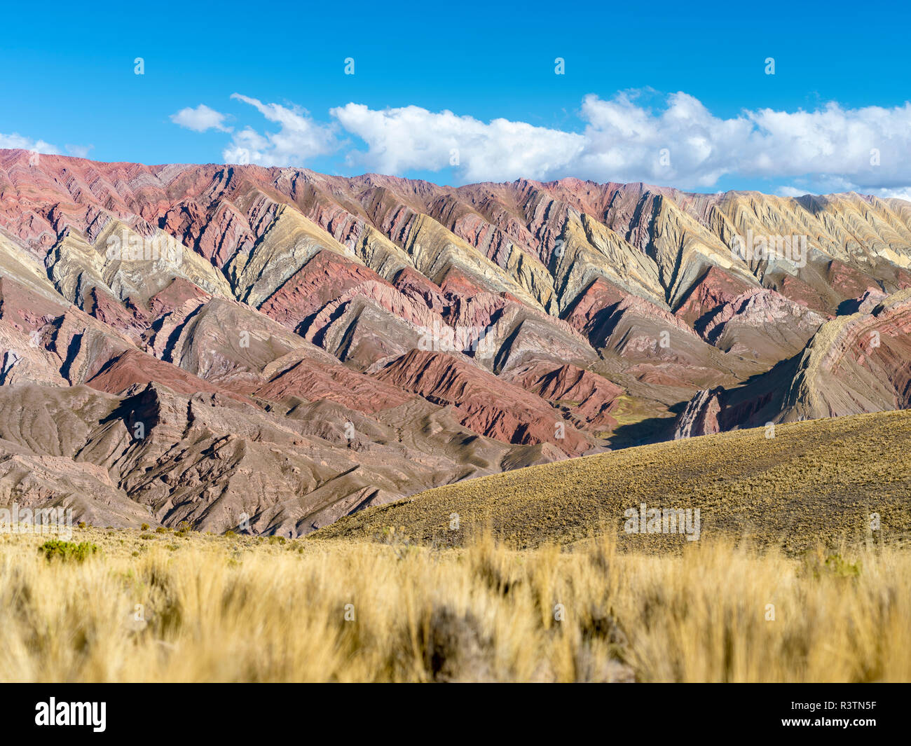 Iconic rock formation Serrania de Hornocal in the Quebrada de Humahuaca canyon, a UNESCO World Heritage Site. South America, Argentina [SPER3TN5F]