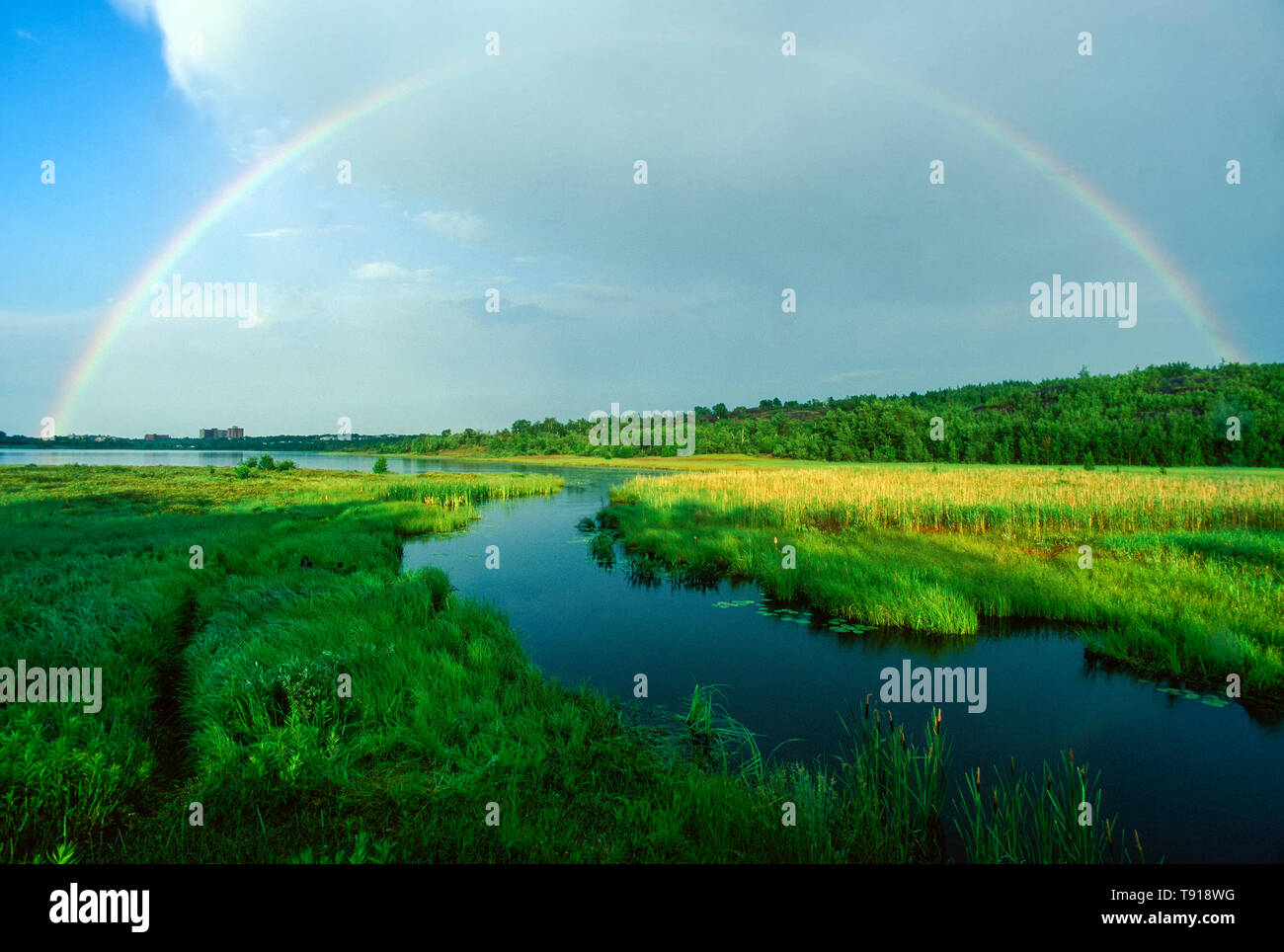 Rainbow over Robinson Lake, Sudbury, Ontario, Canada [SPET918WG]